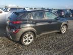 Lot #2991617160 2023 HYUNDAI KONA SEL