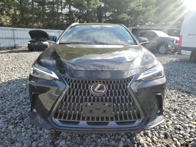2024 LEXUS NX 350 PRE 2T2GGCEZ7RC051142