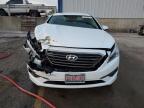 Lot #2957712062 2015 HYUNDAI SONATA SPO