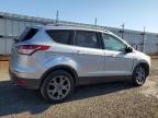 FORD ESCAPE TIT снимка