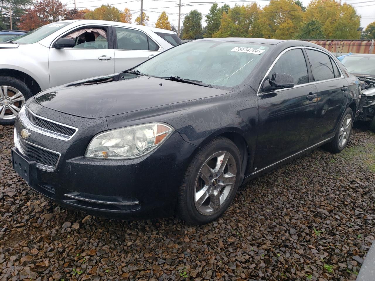 Lot #2970081288 2009 CHEVROLET MALIBU 1LT