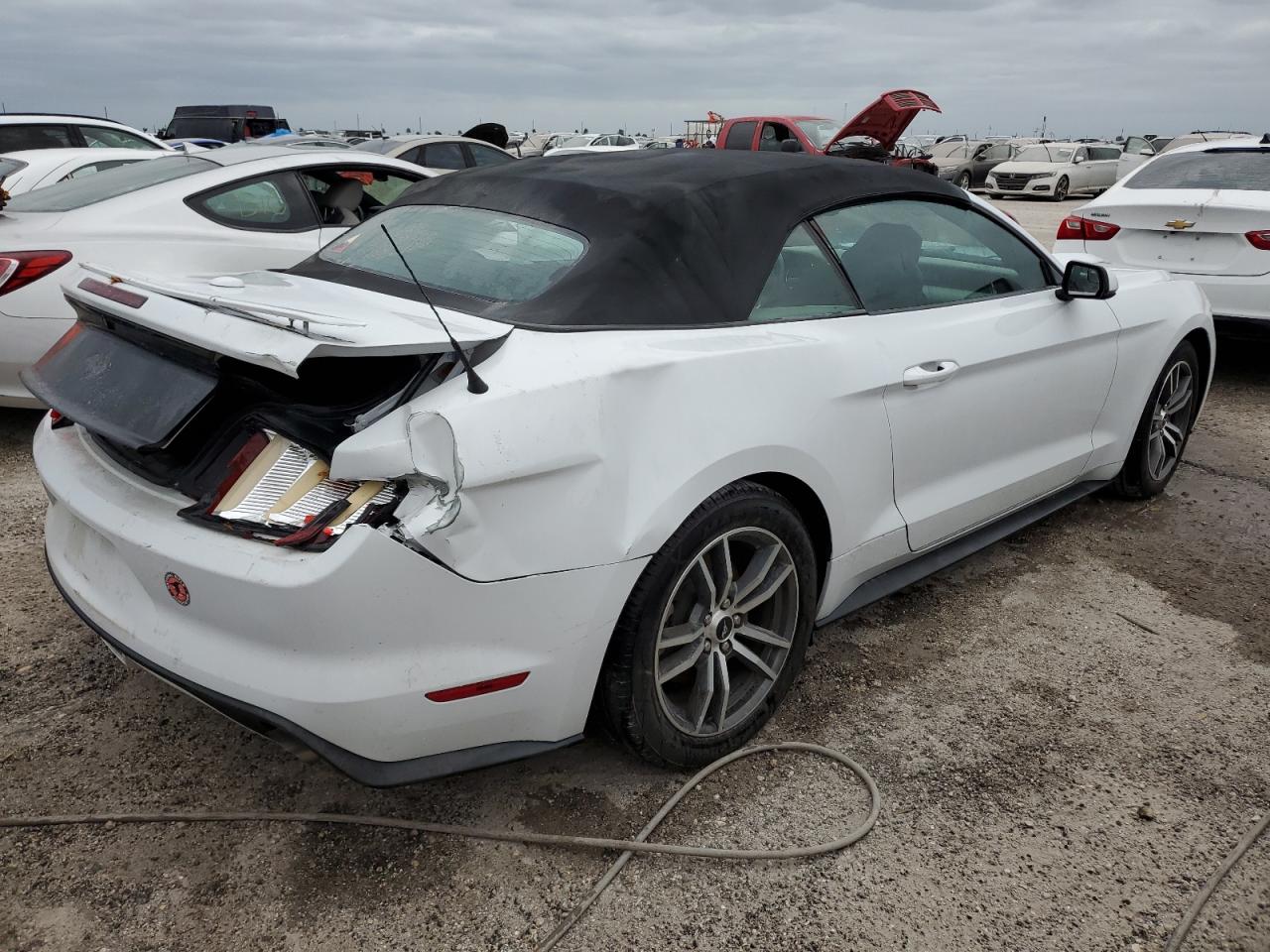 Lot #3026942196 2016 FORD MUSTANG