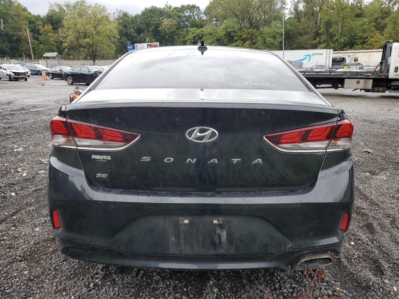 Lot #2979473811 2019 HYUNDAI SONATA SE