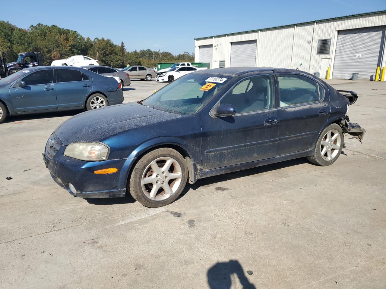 Lot #2962297978 2003 NISSAN MAXIMA GLE