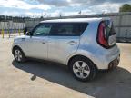 KIA SOUL photo