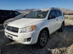 Lot #3025195606 2010 TOYOTA RAV4