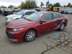 2019 TOYOTA CAMRY LE - 4T1B31HK5KU509696