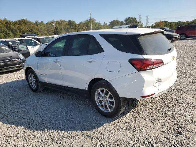 2023 CHEVROLET EQUINOX LS - 3GNAXHEG8PL225579