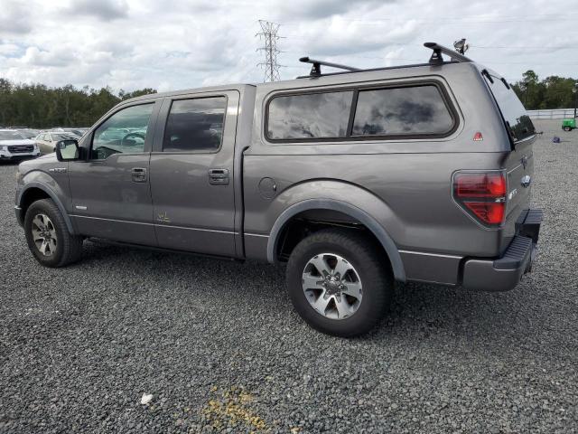 FORD F150 SUPER 2014 gray  gas 1FTFW1ET3EKD92355 photo #3