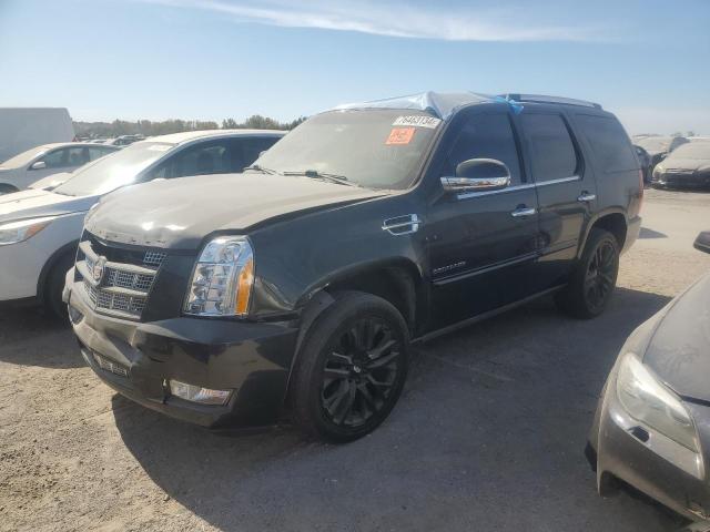 Global Auto Auctions: 2011 CADILLAC ESCALADE P