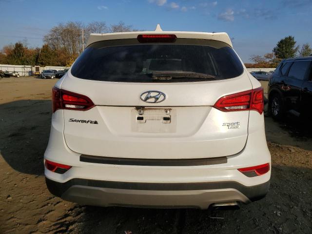 2017 HYUNDAI SANTA FE S - 5NMZUDLBXHH009137