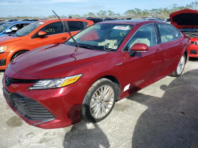 2019 TOYOTA CAMRY HYBR - 4T1B21HK7KU512165