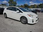 TOYOTA PRIUS photo