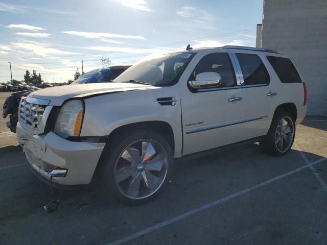 CADILLAC ESCALADE P 2010 beige  flexible fuel 1GYUKCEF8AR163982 photo #1