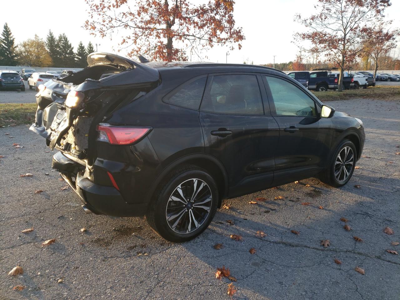 Lot #2974636540 2022 FORD ESCAPE SE