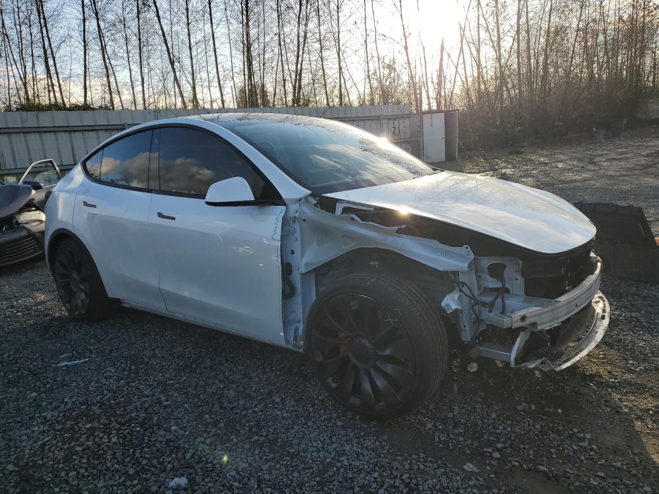 Lot #2996362377 2020 TESLA MODEL Y