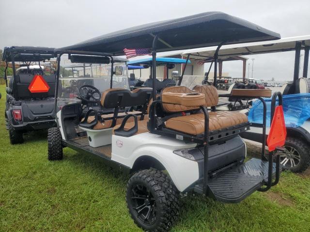 ASPT GOLF CART 2024 white   FLA130636 photo #4