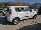 KIA SOUL + photo