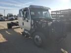 Lot #2945820609 2012 INTERNATIONAL TERRASTAR