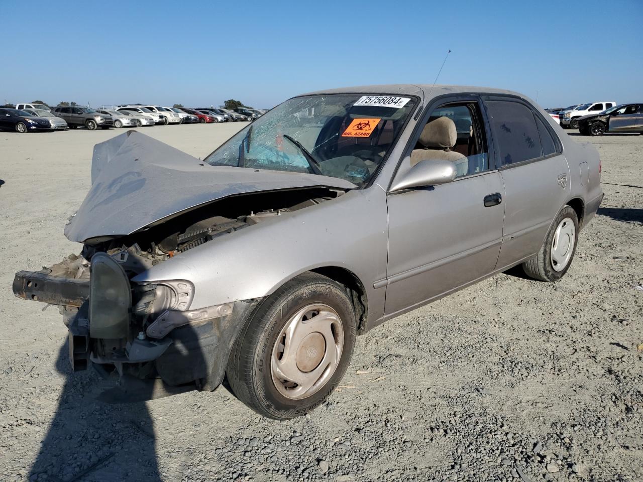 Lot #2989463571 1998 TOYOTA COROLLA VE