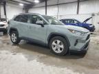 Lot #3023622236 2020 TOYOTA RAV4 XLE