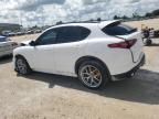 ALFA ROMEO STELVIO TI photo