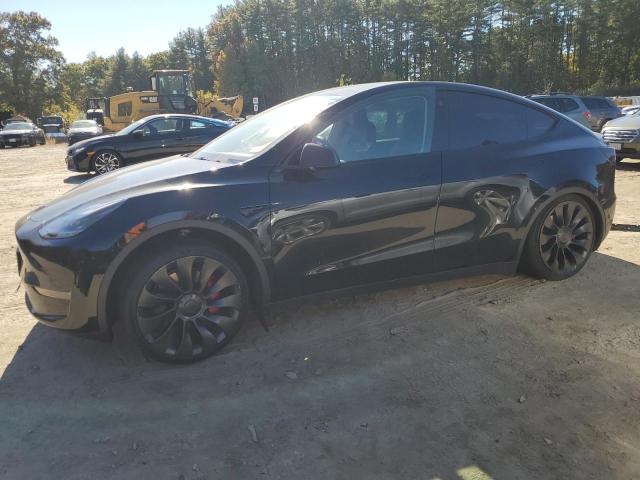 2022 TESLA MODEL Y - 7SAYGDEF0NF572135