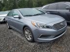 HYUNDAI SONATA SE photo