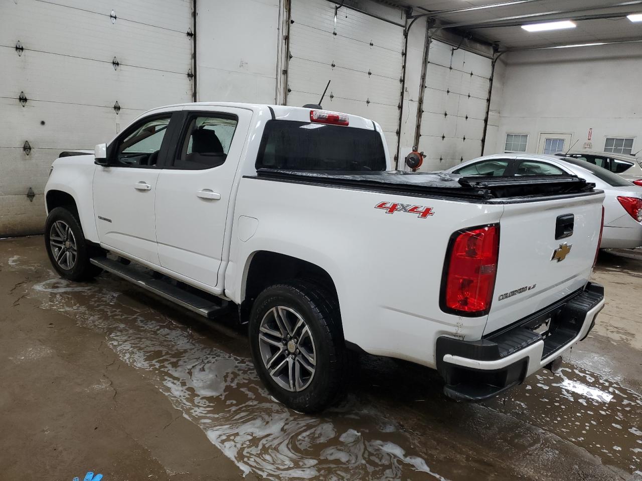 Lot #2921603723 2020 CHEVROLET COLORADO