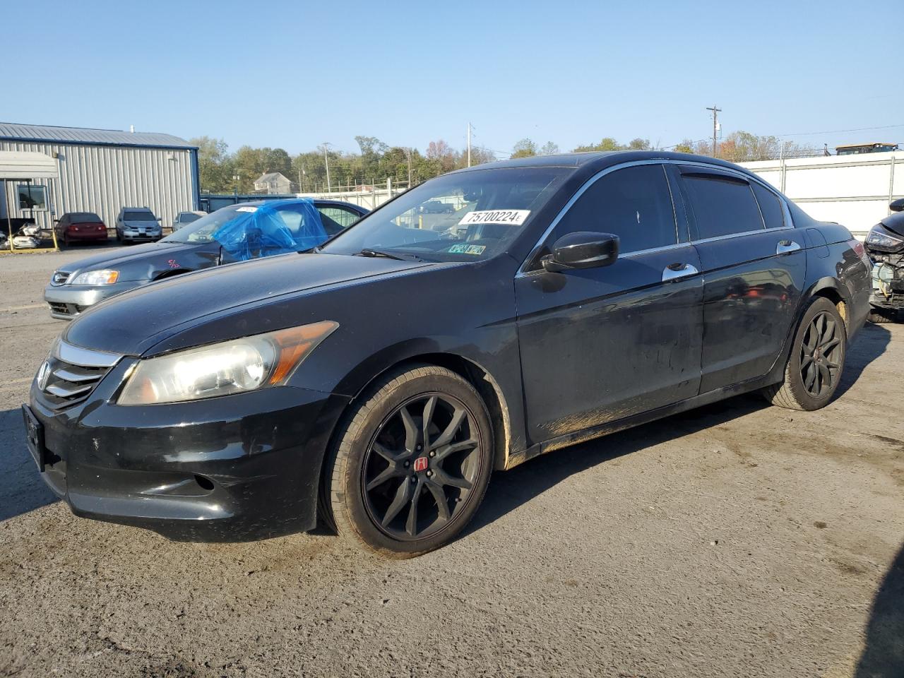 Lot #2994093296 2011 HONDA ACCORD EXL