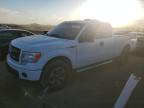 Lot #3006865586 2013 FORD F150 SUPER