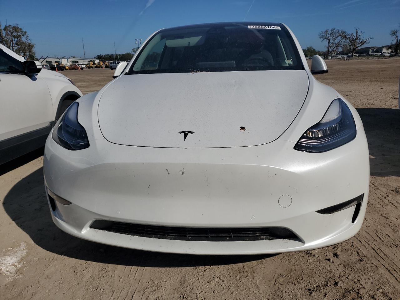 Lot #3029154890 2021 TESLA MODEL Y