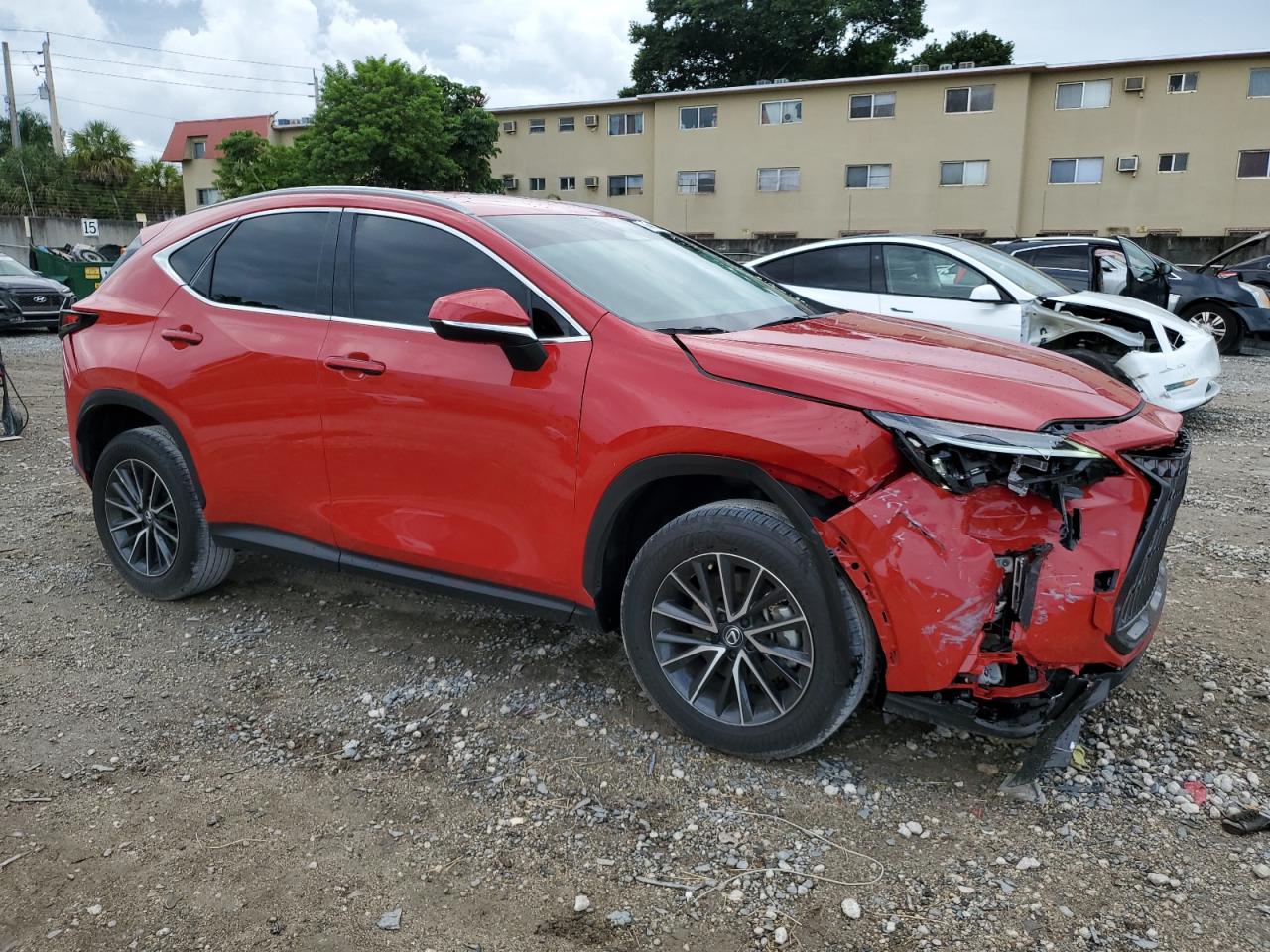 Lot #2990586681 2024 LEXUS NX 250 BAS