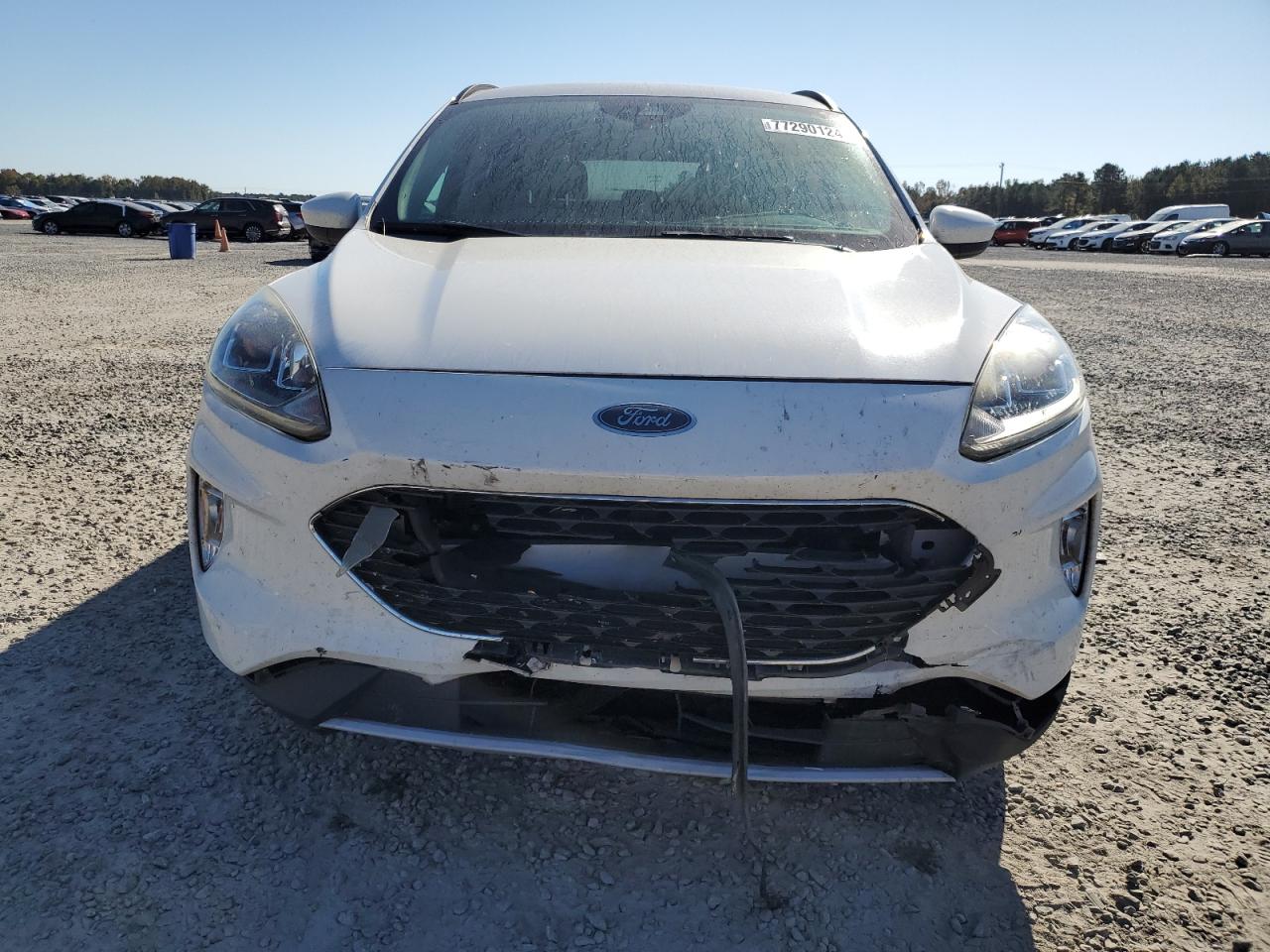 Lot #2955383744 2020 FORD ESCAPE SEL