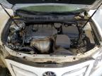 TOYOTA CAMRY BASE photo