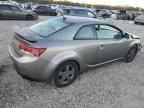 KIA FORTE EX photo