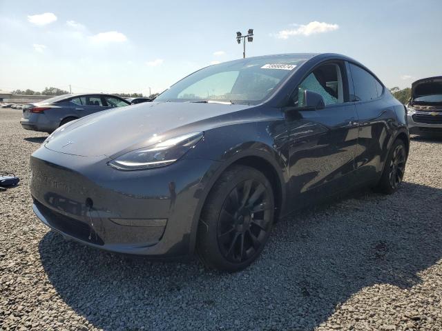 2024 TESLA MODEL Y #3030416468