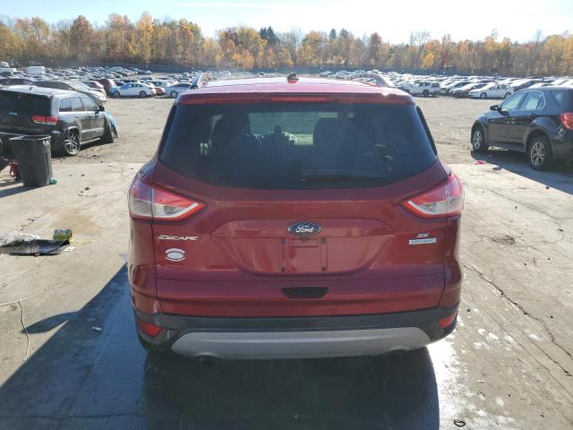 VIN 1FMCU0GX9EUA10199 2014 Ford Escape, SE no.6