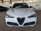 ALFA ROMEO STELVIO TI photo