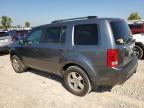 HONDA PILOT EXL photo