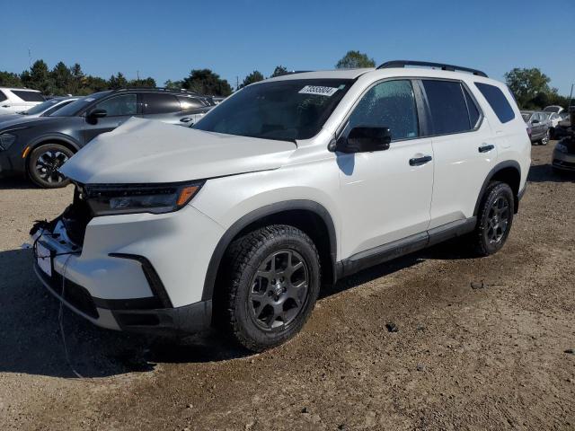 2024 HONDA PILOT TRAI - 5FNYG1H65RB008641