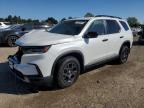 2024 HONDA PILOT TRAI - 5FNYG1H65RB008641