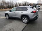 TOYOTA RAV4 LE photo