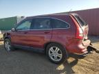 HONDA CR-V EXL снимка