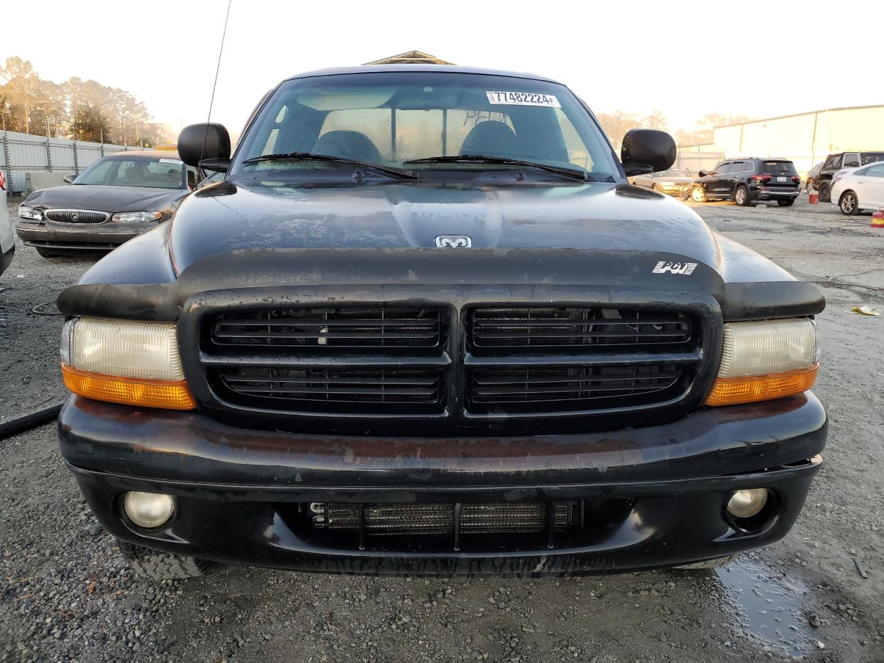 Lot #2996666513 1999 DODGE DAKOTA