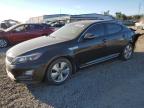 KIA OPTIMA HYB photo