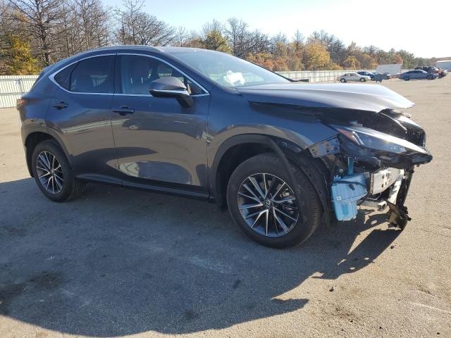 2024 LEXUS NX 250 BAS 2T2ADCAZ4RC006065