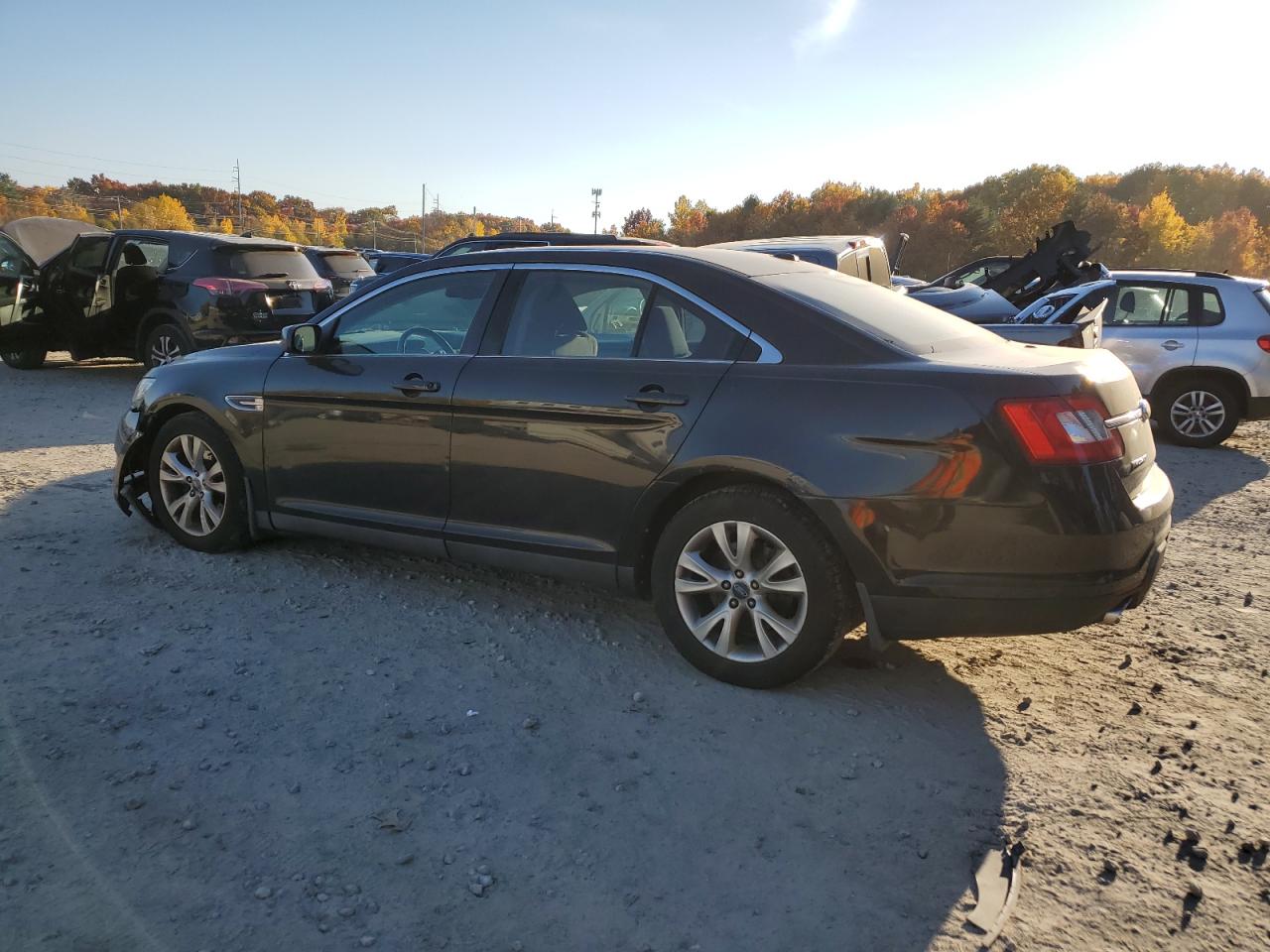 Lot #2925488419 2010 FORD TAURUS SEL