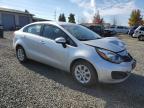 Lot #3004610348 2013 KIA RIO LX