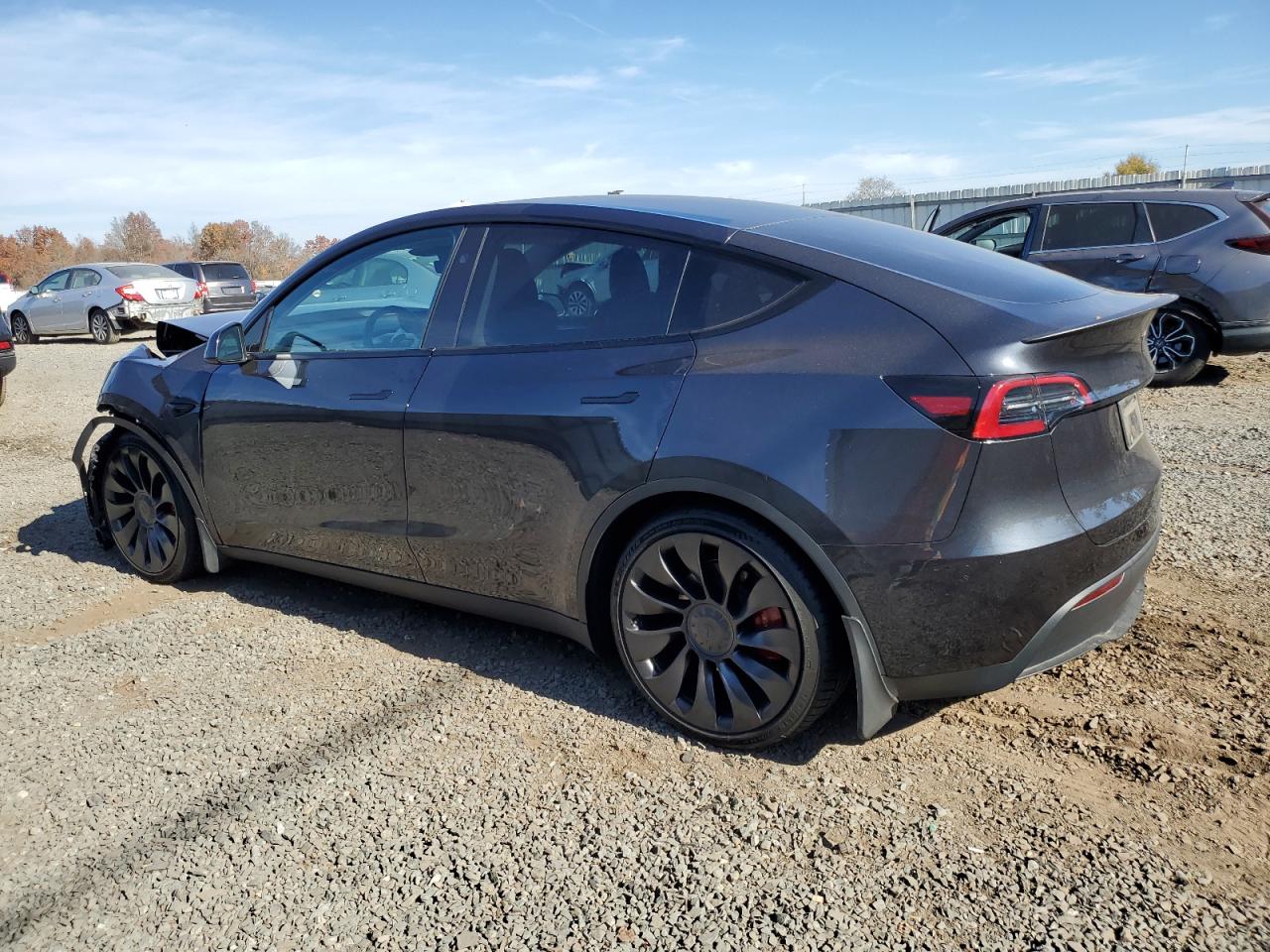 Lot #3030702088 2024 TESLA MODEL Y